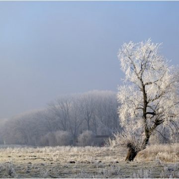 Baia Mare: Temperaturi scăzute mâine şi miercuri dimineaţa în Maramureş