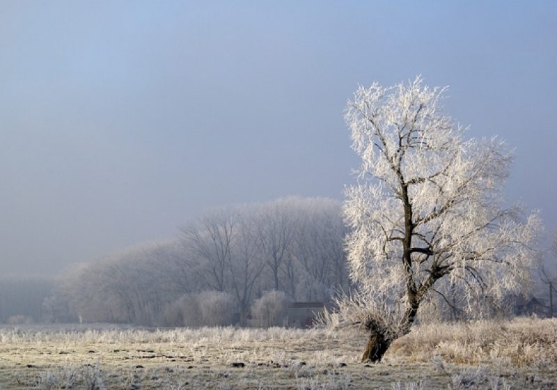 Baia Mare: Temperaturi scăzute mâine şi miercuri dimineaţa în Maramureş