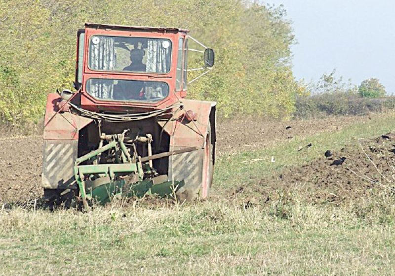 "Glasul pământului” a stârnit din nou vrajbă între oameni în Vadu Izei