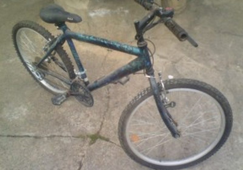 Baia Mare: A uitat de bicicletă când a observat jandarmii Baia Mare: A uitat de bicicletă când a observat jandarmii