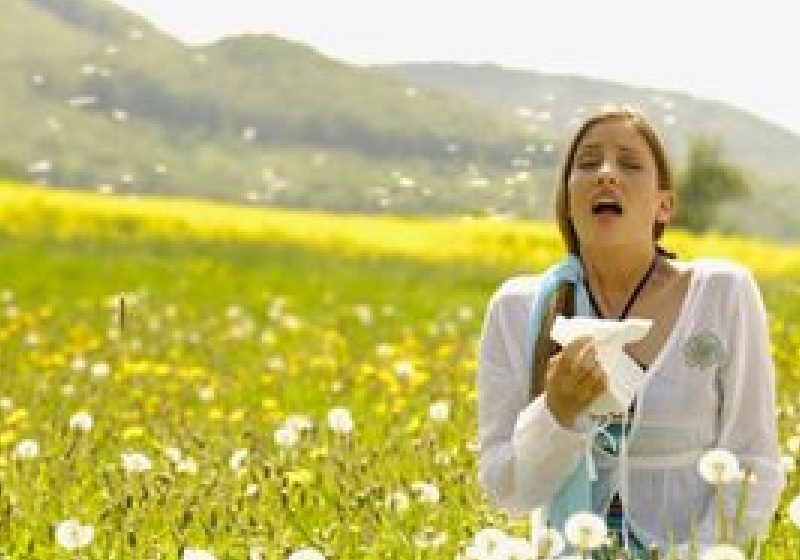 Alergia mai agresivă ca niciodată