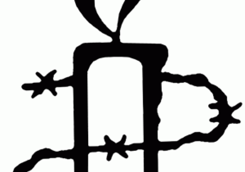 Amnesty International acuză regimul sirian de uciderea şi torturarea unor manifestanţi paşnici Amnesty International acuză regimul sirian de uciderea şi torturarea unor manifestanţi paşnici