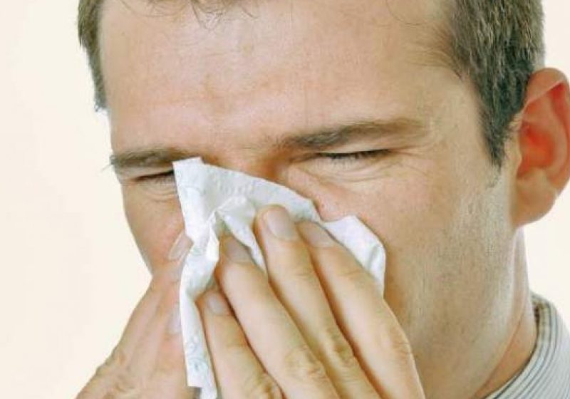SIGHET: Atenţie la alergiile respiratorii! SIGHET: Atenţie la alergiile respiratorii!