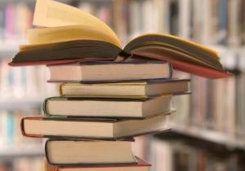 Borşa: Biblioteca Borşa îşi deschide porţile cu un nou serviciu: Acces gratuit la Internet prin Programul Biblionet