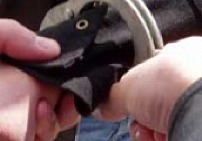 Doi infractori prinşi cu marfa furată în sac de către poliţişti Doi infractori prinşi cu marfa furată în sac de către poliţişti