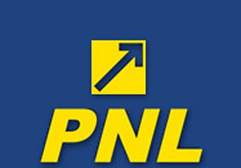 Mihai Negrea, primarul comunei Onceşti şi-a lansat astăzi oficial candidatura din partea PNL Mihai Negrea, primarul comunei Onceşti şi-a lansat astăzi oficial candidatura din partea PNL
