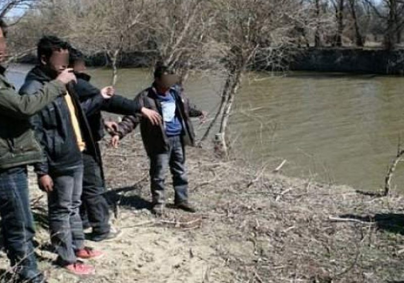 Patru migranți și două călăuze la SPF Petea