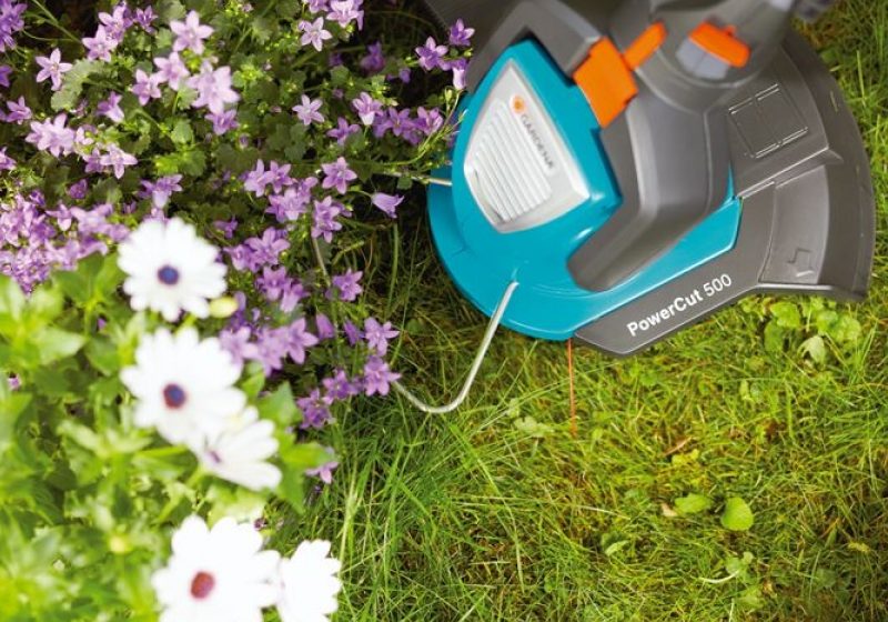 SIGHET: Infracţiune la regimul substanţelor de protecţie a plantelor SIGHET: Infracţiune la regimul substanţelor de protecţie a plantelor