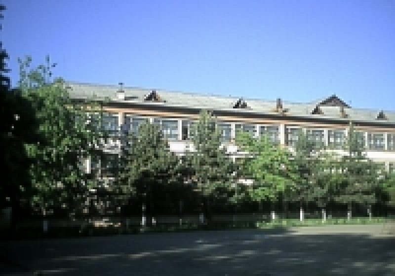 SIGHET: Sărbătoare azi la GSIMS SIGHET: Sărbătoare azi la GSIMS
