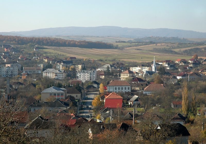Şomcuta Mare: 5 CANDIDAŢI – Află candidaţii la alegerile din 10 iunie pentru Primăria Şomcuta Mare