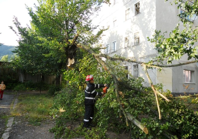 Baia Mare: Avertizare de vânt puternic pentru municipiul Baia Mare! Baia Mare: Avertizare de vânt puternic pentru municipiul Baia Mare!