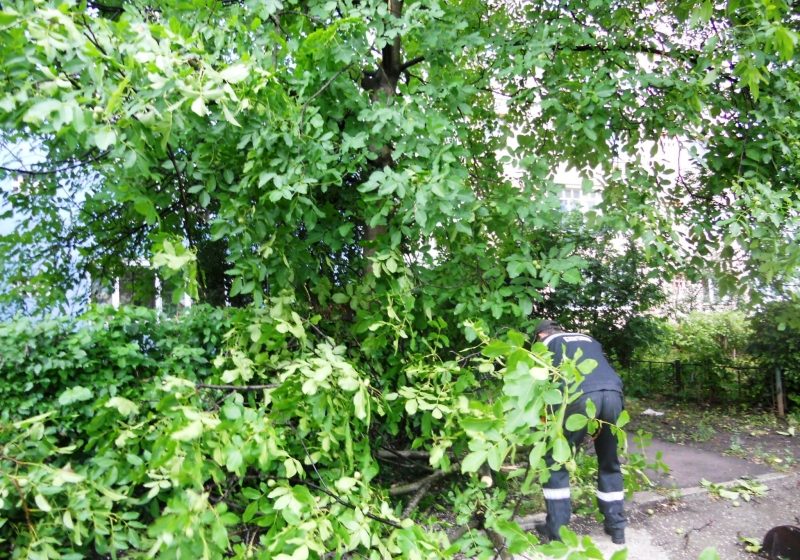 AVERTIZARE METEO: Ploi torenţiale şi vijelii, în Dâmboviţa şi sud-estul judeţului Argeş