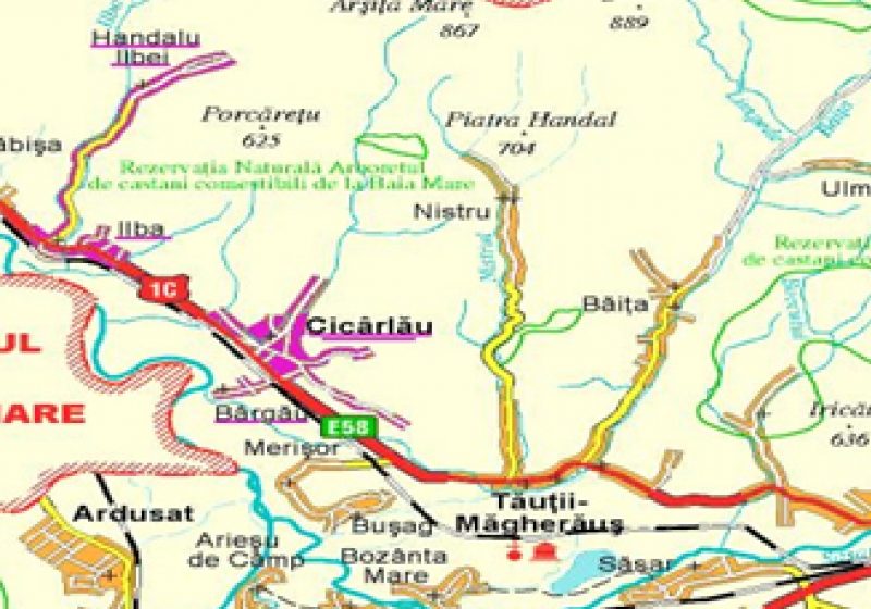 Cicârlău: 6 CANDIDAŢI – Află candidaţii la alegerile din 10 iunie pentru Primăria Cicârlău