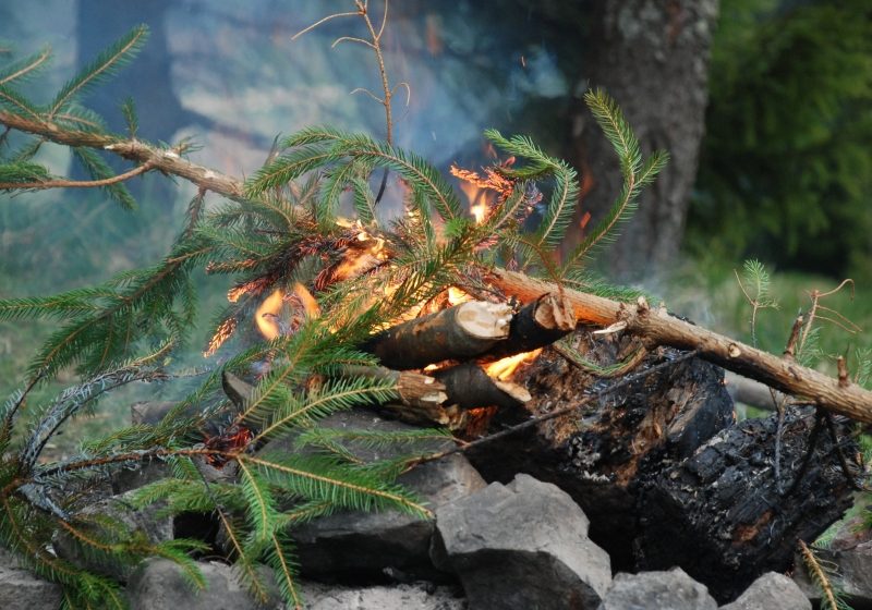 Vişeu de Sus: Un bărbat a furat din corturile unor turişti străini, în valoare de 2.200 lei