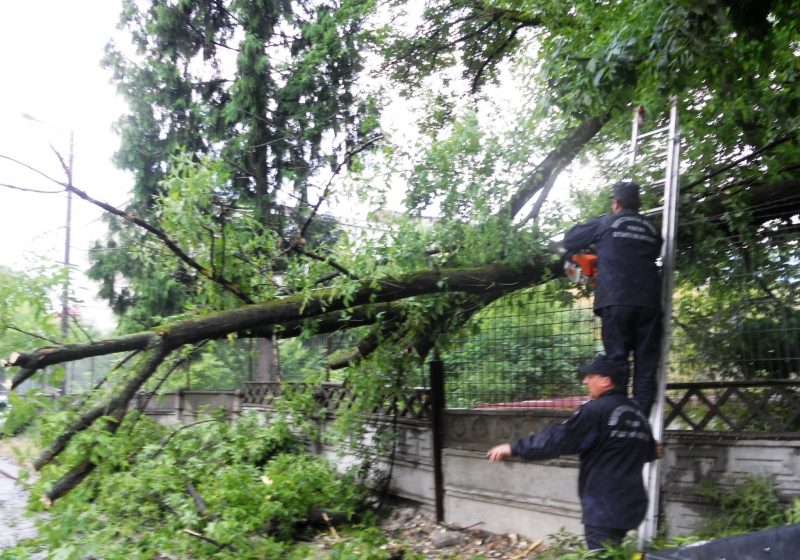 AVERTIZARE METEO: Cod galben de ploi şi vijelii în toată ţara AVERTIZARE METEO: Cod galben de ploi şi vijelii în toată ţara