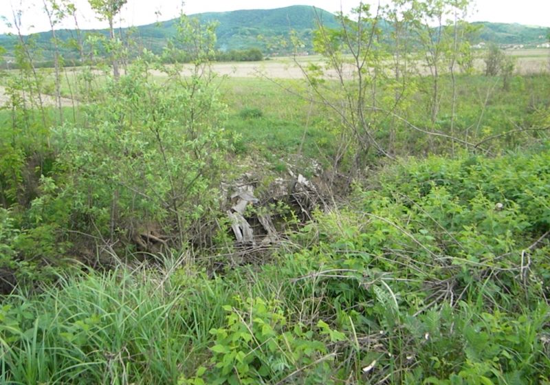 Baia Mare: Ziua Mondială a Mediului – 5 Iunie – «Economia Verde – Te include şi pe tine?»