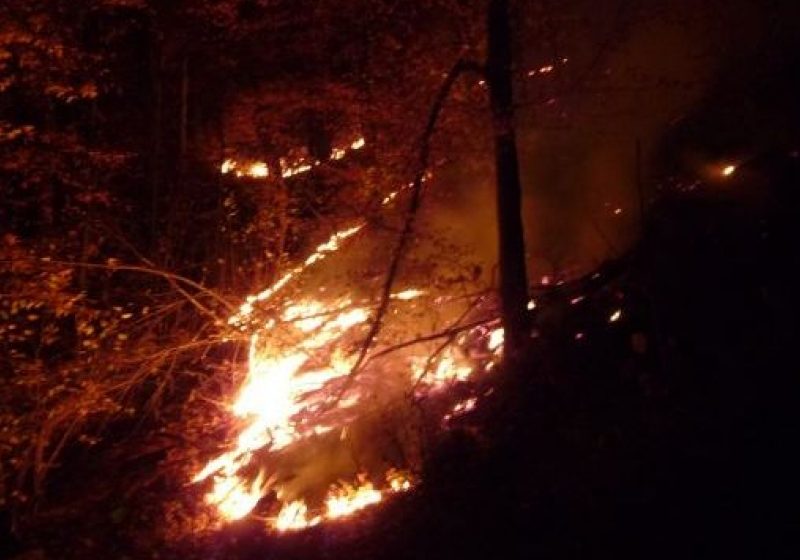 Baia Mare: Pompierii maramureşeni sunt la "foc continuu"