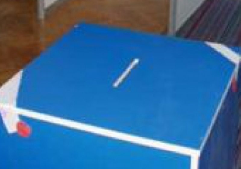 SIGHET: Prezenţe speciale la secţiile de vot