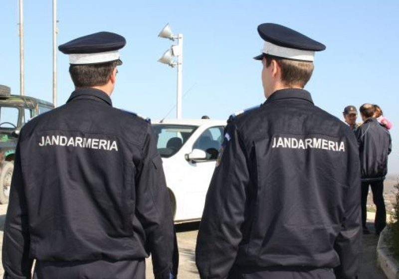 Baia Mare: Strigăte în miezul zilei