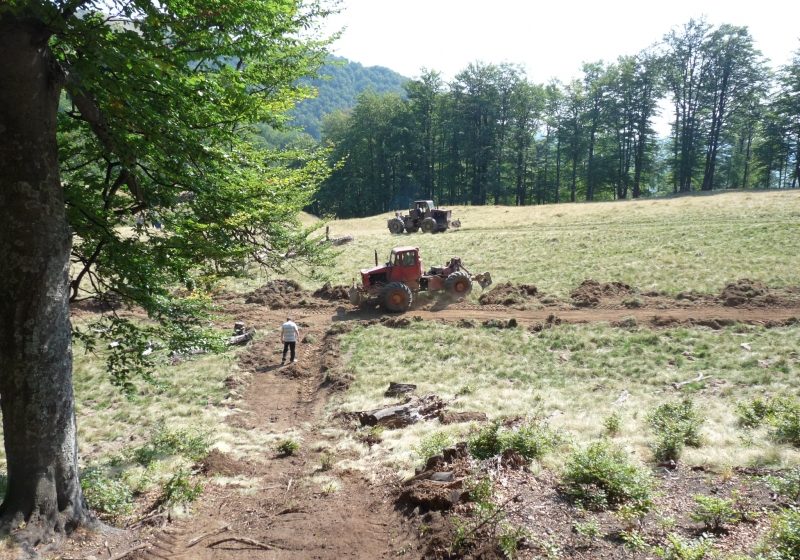 Creasta Cocoşului: Forţele de intervenţie au fost suplimentate la incendiul de pe versanţii Vf. Gutâiul Mare