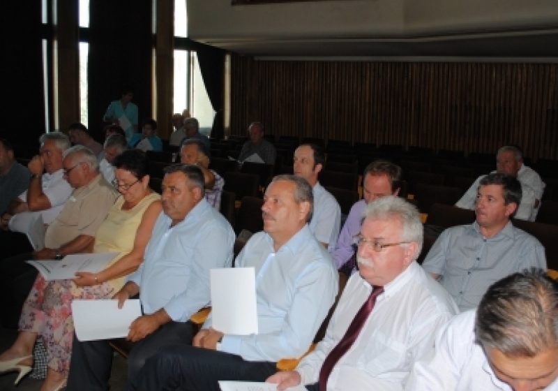 Baia Mare: Replici acide în plenul şedinţei de Consiliu Judeţean. Gheorghe Şimon: "Mucles, Mircea Man, patru ani!"