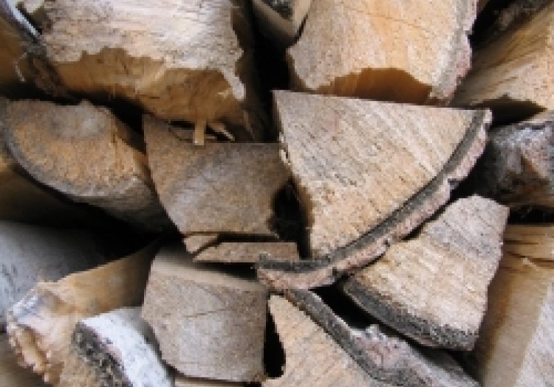 SIGHET: Şcolile din oraş s-au aprovizionat cu lemne pentru iarnă