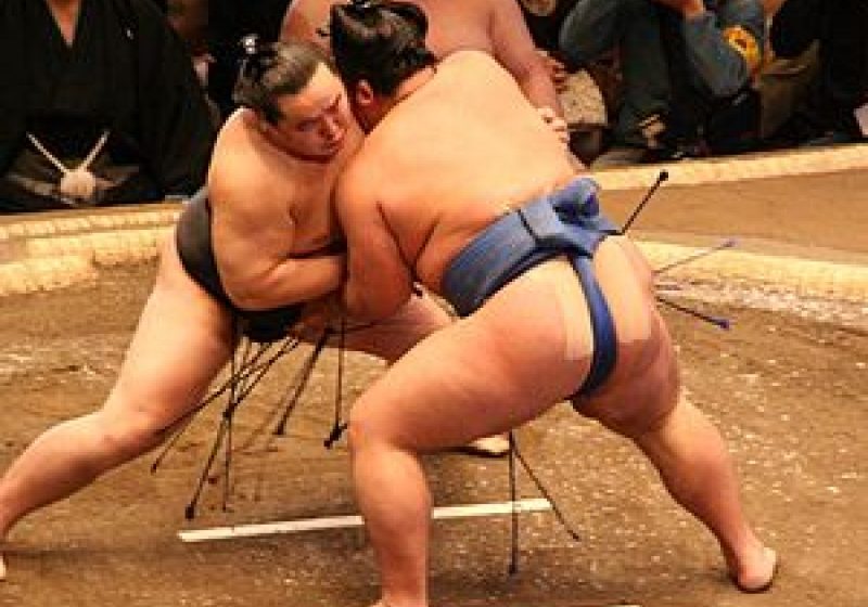 Japonia: În ţara luptătorilor sumo, obezitatea este ‘ilegală’