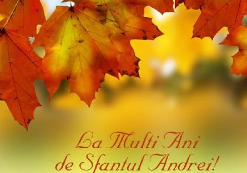 Aproape 700.000 de români îşi sărbătoresc onomastica vineri, de Sfântul Andrei Aproape 700.000 de români îşi sărbătoresc onomastica vineri, de Sfântul Andrei