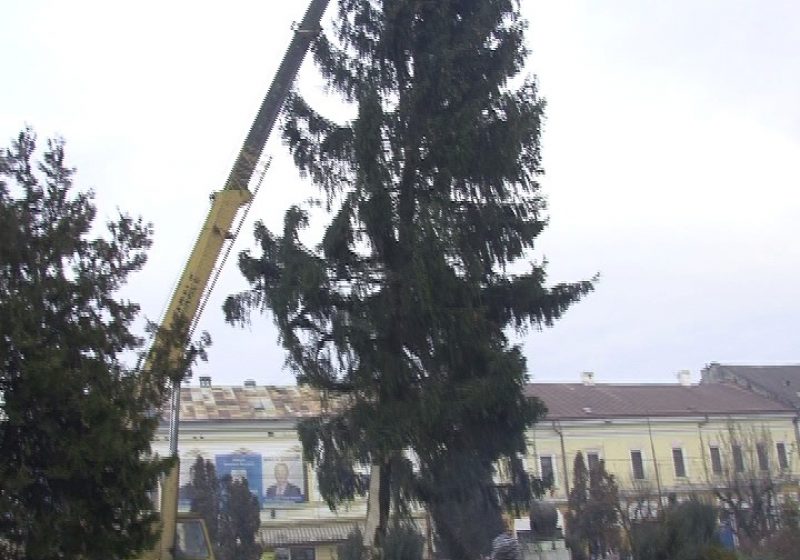 SIGHET: De Sărbătoare Sfântului Andrei sighetenii au primit un dar din partea Primăriei