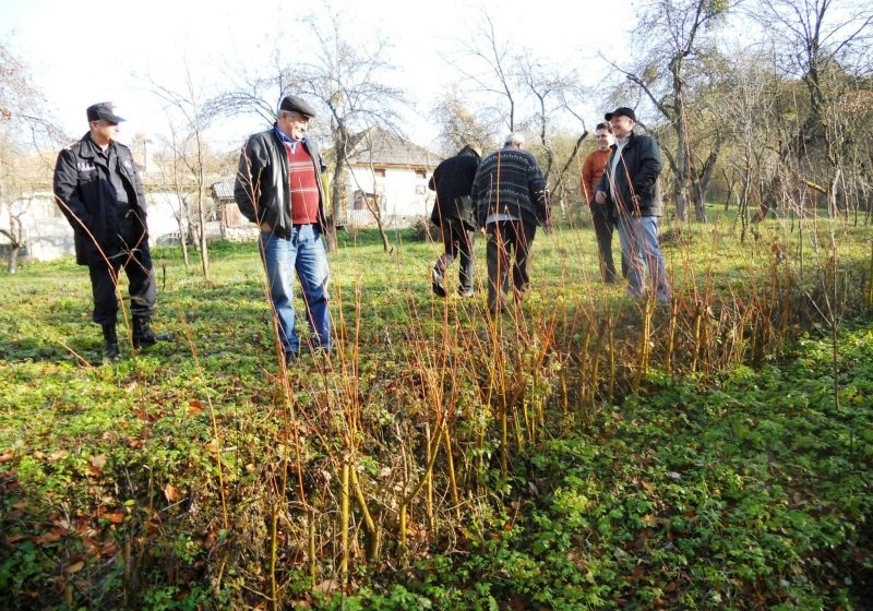 Finteuşu Mare: Proiect de punere în siguranţă a unui teren afectat de alunecare