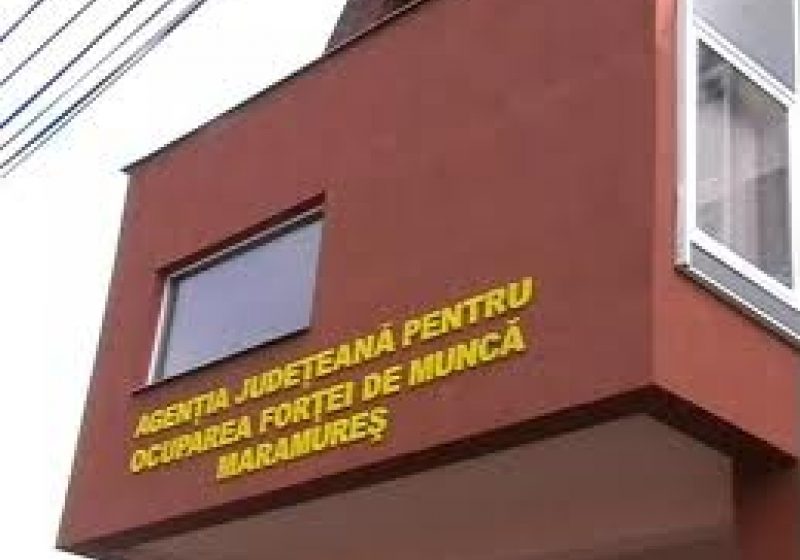 Sighet: 13 locuri de muncă disponibile, pentru 108 şomeri înregistraţi în evidenţele AJOFM, MM