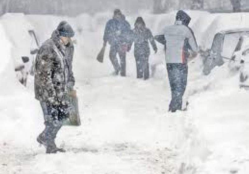 COD GALBEN DE VÂNT ŞI NINSOARE în şase judeţe din estul şi sud-estul ţării. Toată ţara, sub avertizare de ninsori şi vânt puternic