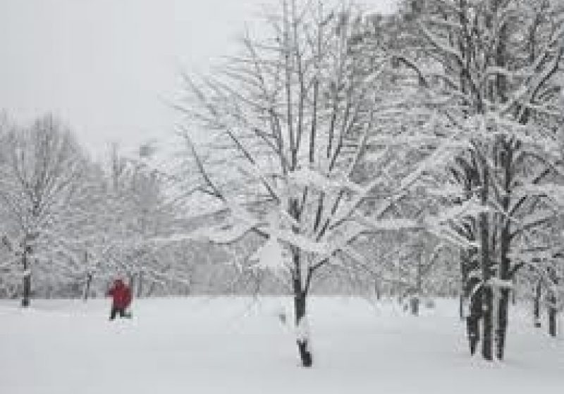 Prognoză ANM: Lapoviţă, ninsoare şi temperaturi maxime în scădere până pe 16 decembrie