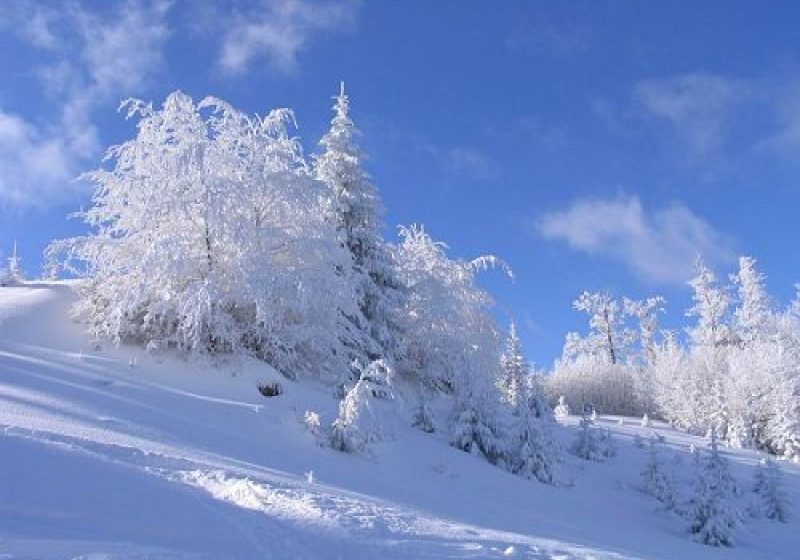 PROGNOZA METEO în ziua alegerilor – Preşedinte ANM: Iarna se va instala mai serios în perioada 8-10 decembrie PROGNOZA METEO în ziua alegerilor – Preşedinte ANM: Iarna se va instala mai serios în perioada 8-10 decembrie