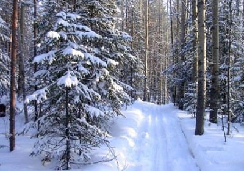 PROGNOZA METEO – Temperaturi mai mici decât în mod normal pentru această dată PROGNOZA METEO – Temperaturi mai mici decât în mod normal pentru această dată