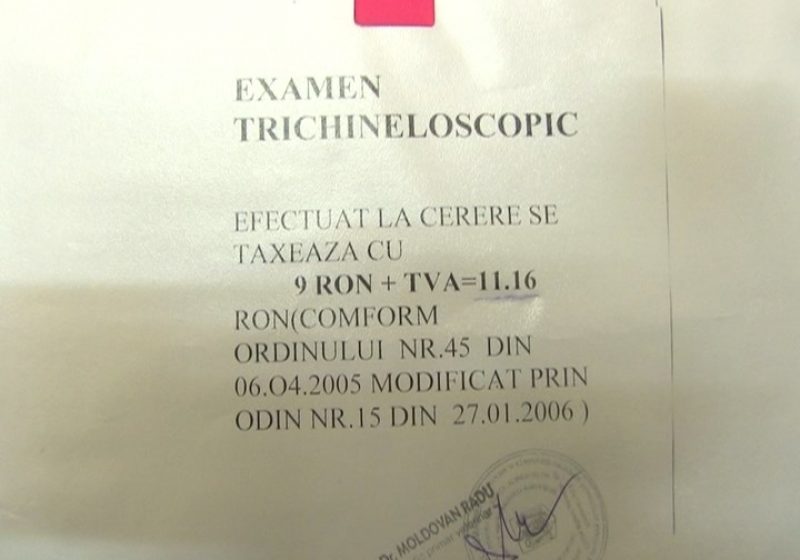 Sighet: Examenul trichineloscopic pentru porcul de Crăciun vă costă 11 RON Sighet: Examenul trichineloscopic pentru porcul de Crăciun vă costă 11 RON