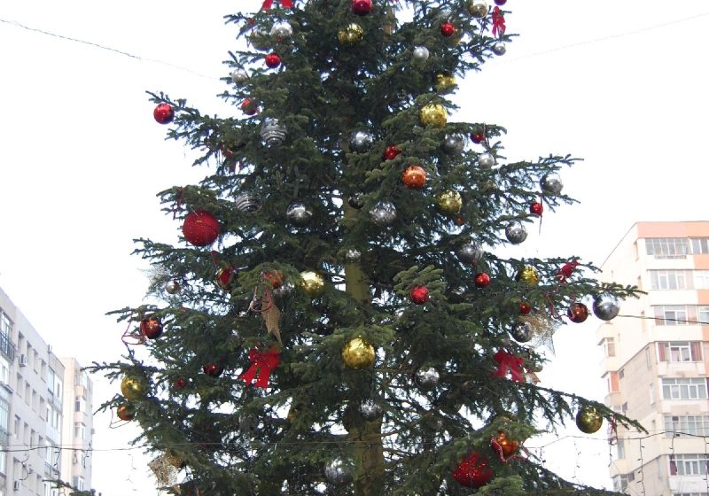 Sighet: Fără cheltuieli suplimentare de Crăciun Sighet: Fără cheltuieli suplimentare de Crăciun