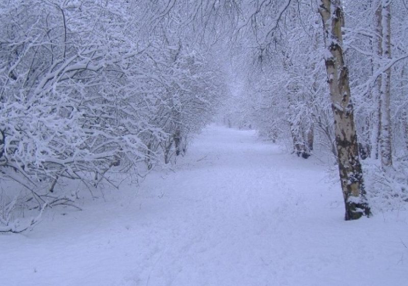 Vremea astăzi în Maramureş