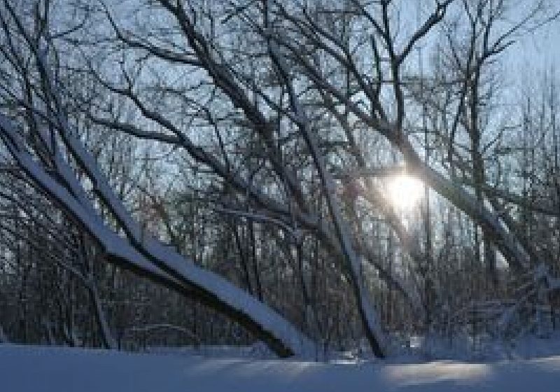 Vremea se va încălzi în toate zonele ţării, inclusiv la munte Vremea se va încălzi în toate zonele ţării, inclusiv la munte