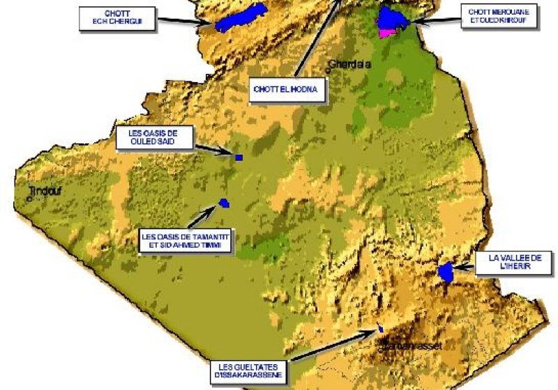 Ambasadorul Algeriei: Am spus autorităţilor române că avem un decedat, trei eliberaţi şi despre unul nu avem informaţii Ambasadorul Algeriei: Am spus autorităţilor române că avem un decedat, trei eliberaţi şi despre unul nu avem informaţii