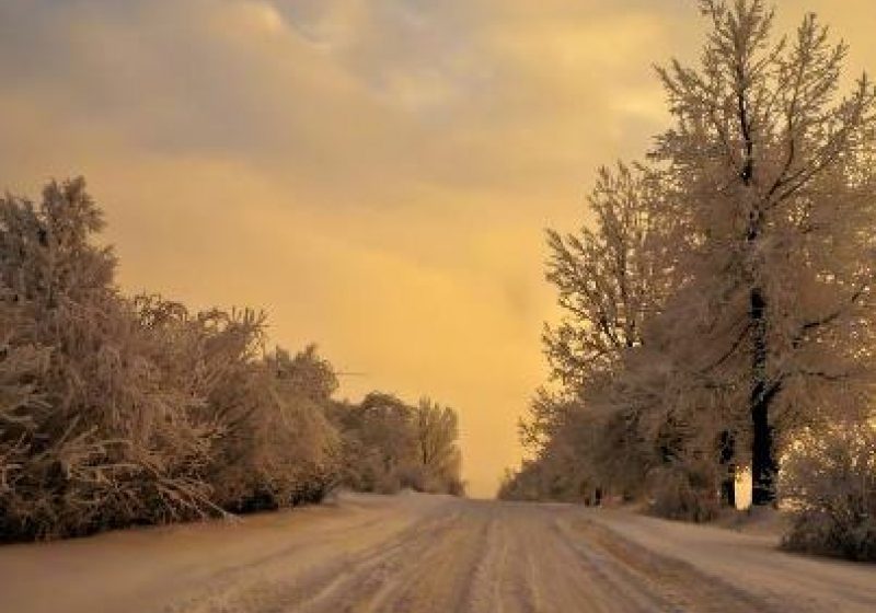 Circulaţie rutieră în condiţii de iarnă.Vizibilitate redusă de ceaţă pe DN18, în Pasul Prislop! Circulaţie rutieră în condiţii de iarnă.Vizibilitate redusă de ceaţă pe DN18, în Pasul Prislop!