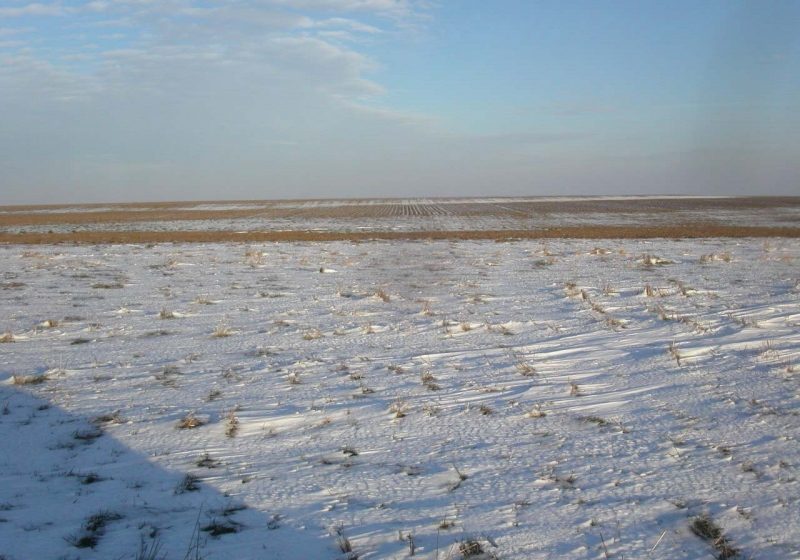 PROGNOZA METEO până pe 3 februarie:Vreme mai caldă decât în mod obişnuit