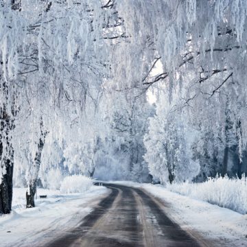 ATENȚIONARE METEO: Zile cu cod galben de ger în Maramureș ATENȚIONARE METEO: Zile cu cod galben de ger în Maramureș