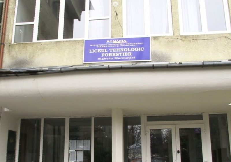 A debutat "Clubul Cinefililor Forestieri" A debutat "Clubul Cinefililor Forestieri"