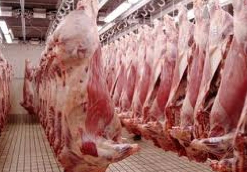 Preşedintele ANSVSA: Importurile şi exporturile de animale sau produse de origine animală între România şi Ucraina, blocate