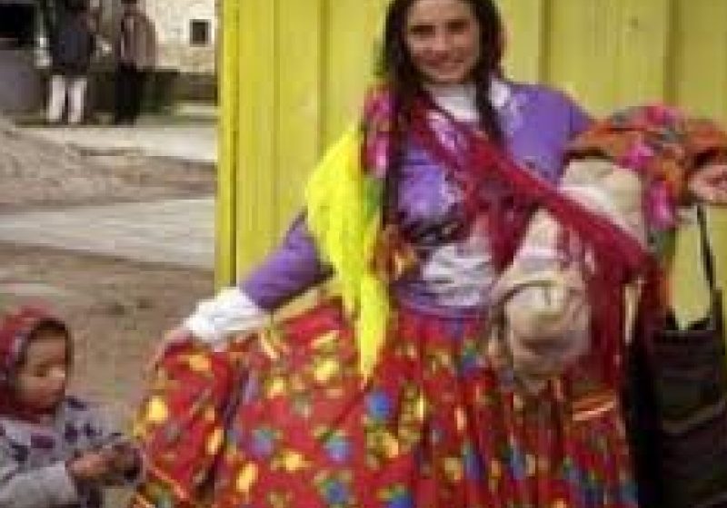 Unde va fi amplasat Muzeul Culturii Romilor din România şi care vor fi costurile pentru deschiderea acestuia
