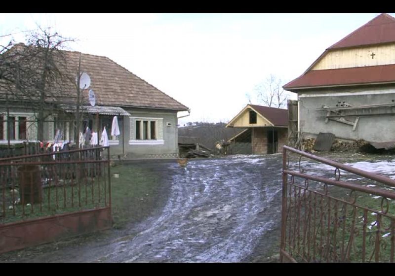 Tânărul din Cerneşti care şi-a ucis bunica va fi trimis în arest