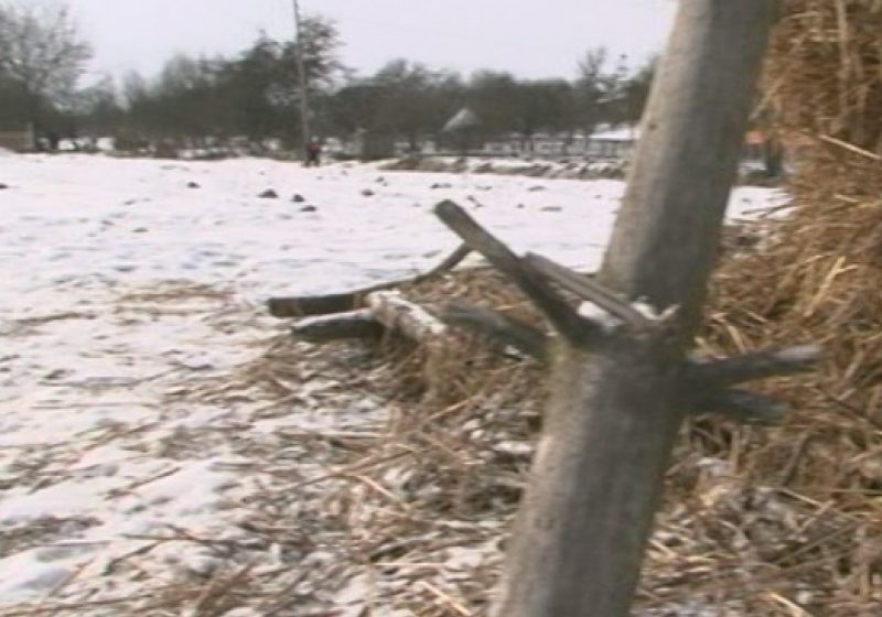 Victima violului din Breb ajutată de medici psihiatrici să depăşească trauma trăită Victima violului din Breb ajutată de medici psihiatrici să depăşească trauma trăită