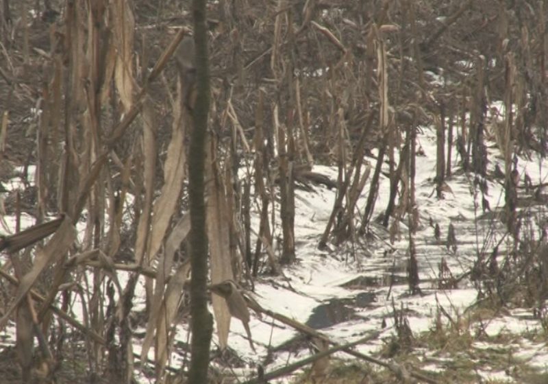 Vreme relativ caldă astăzi în Maramureş