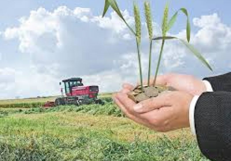 APIA începe decontarea contravalorii schemelor de plăţi unice pe suprafaţă pentru anul agricol 2012 – 2013 APIA începe decontarea contravalorii schemelor de plăţi unice pe suprafaţă pentru anul agricol 2012 – 2013